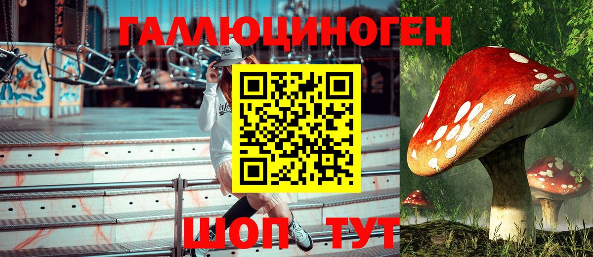 Галлюциногенные грибы ЛСД  Вход с VPN  Галлюциногенные грибы Psilocybine cubensis  Карасук 