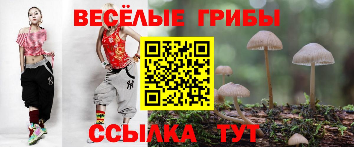Галлюциногенные грибы MAGIC MUSHROOMS Карасук